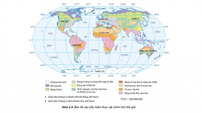 Giáo án điện tử địa lí 10 cánh diều bài 13: Thực hành - Phân tích bản đồ, sơ đồ về phân bố của đất và sinh vật trên thế giới