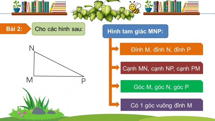 Giáo án điện tử toán 3 cánh diều bài 20: Ôn tập về hình học và đo lường