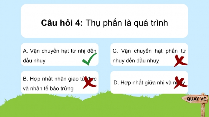 Giáo án điện tử KHTN 7 cánh diều – Phần sinh học bài: Bài tập (chủ để 9, 19, 11, 12)