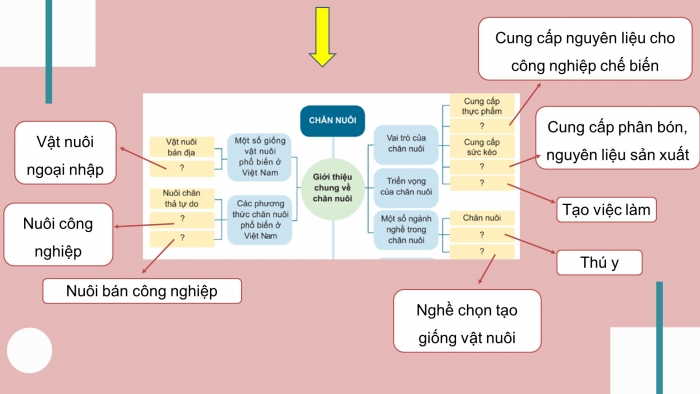  Giáo án điện tử công nghệ 7 cánh diều bài: Ôn tập chủ đề 2