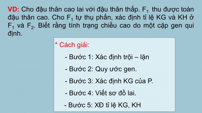 Giáo án điện tử sinh học 9 bài 7: Bài tập chương I