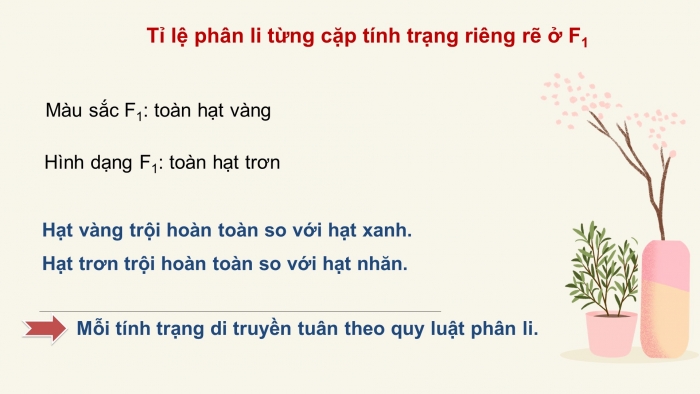 Giáo án điện tử Sinh học 12 bài 9: Quy luật Menđen: Quy luật phân li độc lập