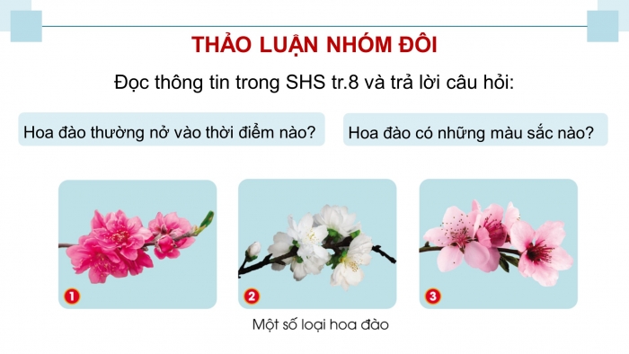 Giáo án điện tử Công nghệ 4 cánh diều Bài 2: Một số loại hoa phổ biến