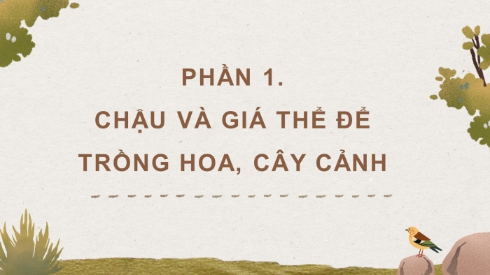 Giáo án điện tử Công nghệ 4 cánh diều Bài 4: Chậu và giá thể trồng hoa, cây cảnh