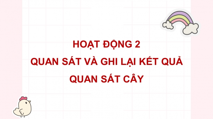 Giáo án điện tử Tiếng Việt 4 cánh diều Bài 3 Viết 2: Luyện tập tả cây cối