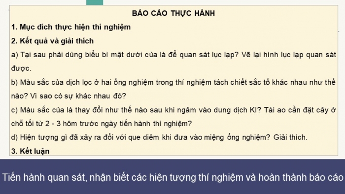 Giáo án điện tử Sinh học 11 chân trời Bài 5: Thực hành: Quan sát lục lạp và tách chiết sắc tố; chứng minh sự hình thành sản phẩm quang hợp