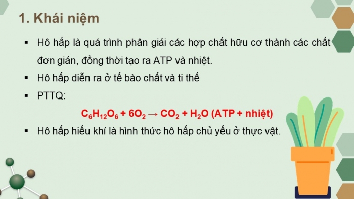 Giáo án điện tử Sinh học 11 chân trời Bài 6: Hô hấp ở thực vật