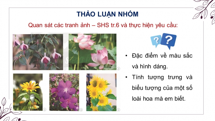 Giáo án điện tử Mĩ thuật 8 chân trời (bản 2) Bài 1: Vẽ và cách điệu hoa lá