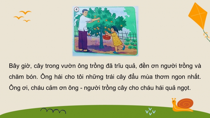 Giáo án điện tử tiếng việt 3 kết nối tiết 5: Ôn tập cuối học kì 1