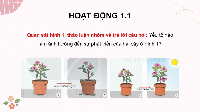 Giáo án điện tử Khoa học 4 kết nối Bài 9: Vai trò của ánh sáng