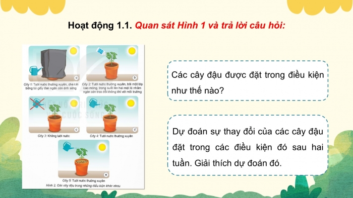 Giáo án điện tử Khoa học 4 kết nối Bài 15: Thực vật cần gì để sống?