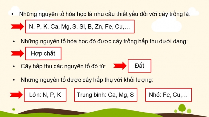 Giáo án điện tử KHTN 8 cánh diều Bài 13: Phân bón hoá học