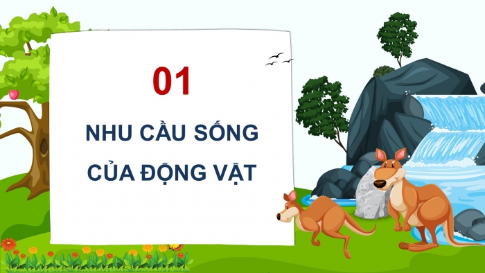 Giáo án điện tử Khoa học 4 cánh diều Bài 14: Nhu cầu sống của động vật và chăm sóc vật nuôi (P1)