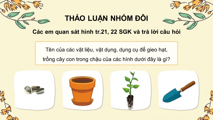 Giáo án điện tử Công nghệ 4 cánh diều Bài 5: Gieo hạt và trồng cây con trong chậu