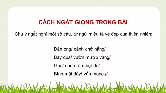 Giáo án điện tử Tiếng Việt 4 chân trời CĐ 4 Bài 3 Đọc: Thuyền trưởng và bầy ong