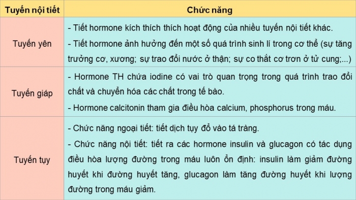 Giáo án điện tử KHTN 8 kết nối Bài 38: Hệ nội tiết ở người