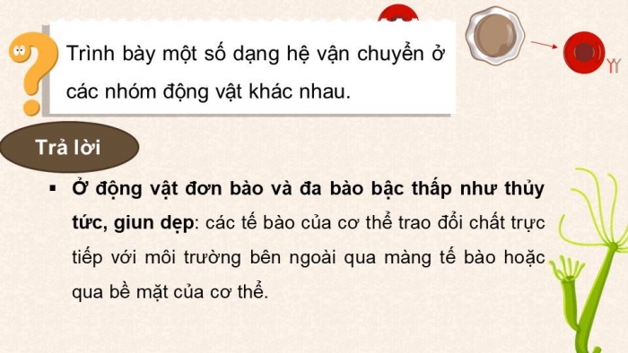 Giáo án điện tử Sinh học 11 chân trời Bài 10: Tuần hoàn ở động vật (P1)