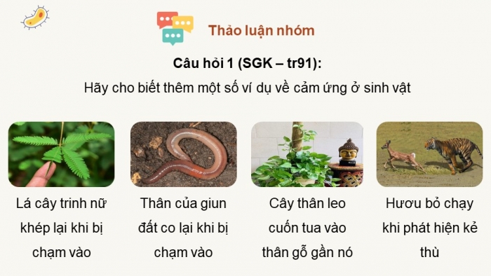 Giáo án điện tử Sinh học 11 chân trời Bài 14: Khái quát về cảm ứng ở sinh vật