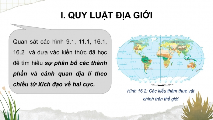 Giáo án điện tử địa lí 10 chân trời bài 18: Quy luật địa đới và quy luật phi địa đới