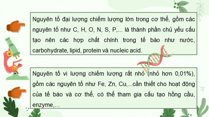 Giáo án điện tử sinh học 10 cánh diều bài 5: Các nguyên tố hóa học và nước