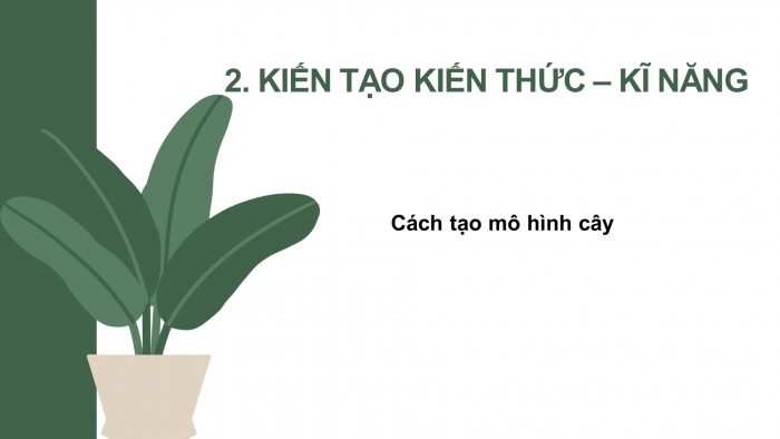 Giáo án điện tử mĩ thuật 3 chân trời bản 1 bài 1: Cây trong vườn