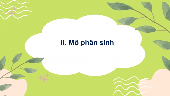 Giáo án điện tử KHTN 7 cánh diều – Phần sinh học bài 30: Sinh trưởng và phát triển ở thực vật