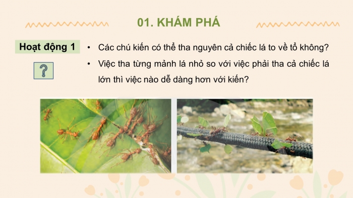 Giáo án điện tử tin học 3 chân trời bài 13: Chia việc lớn thành việc nhỏ để giải quyết