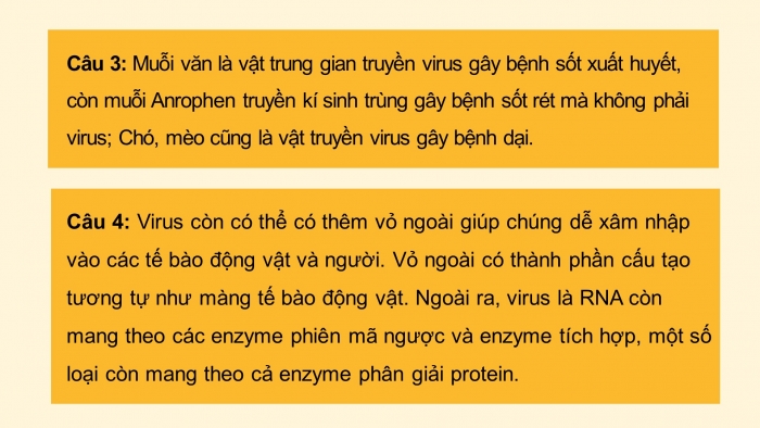 Giáo án điện tử sinh học 10 kết nối bài 24: Khái quát về virus