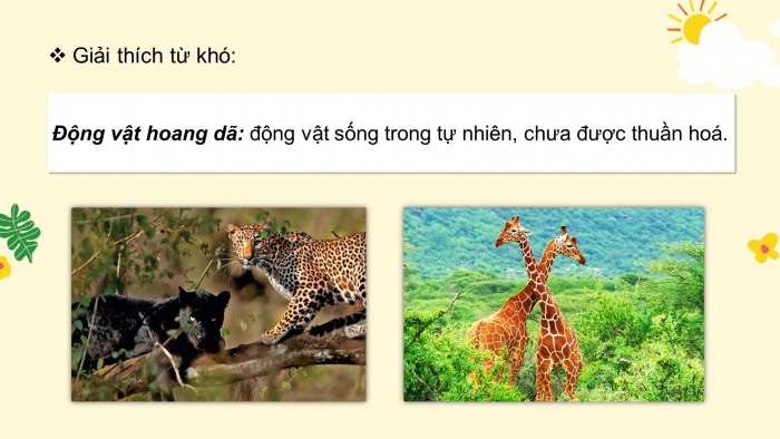 Giáo án điện tử tiếng việt 3 kết nối tri thức bài 27: Thư của ông trái đất gửi các bạn nhỏ - Tiết 1. Đọc