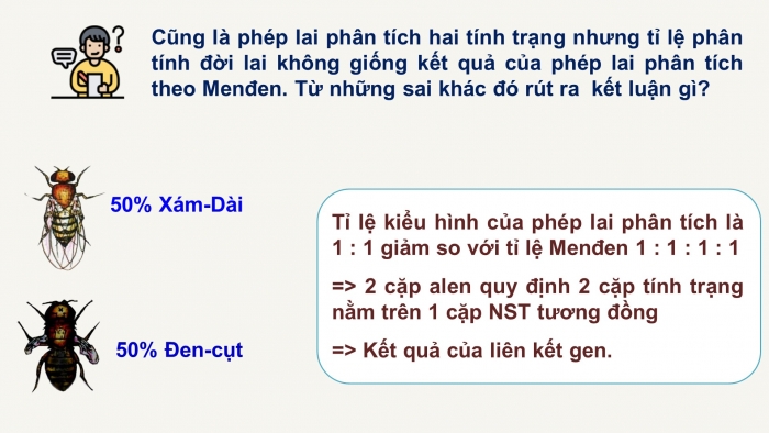 Giáo án điện tử Sinh học 12 bài 11: Liên kết gen và hoán vị gen