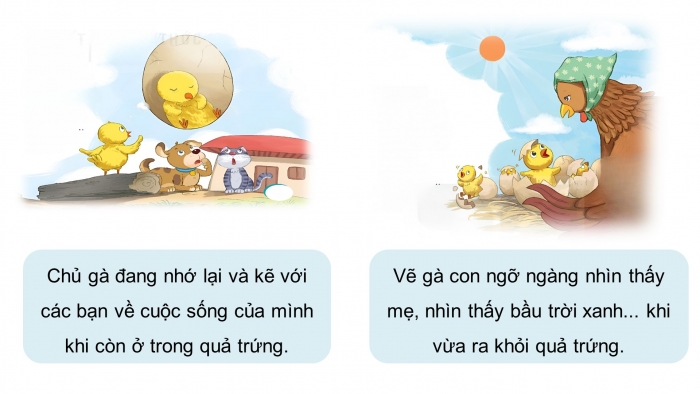 Giáo án điện tử Tiếng Việt 4 kết nối Bài 9 Đọc: Bầu trời trong quả trứng