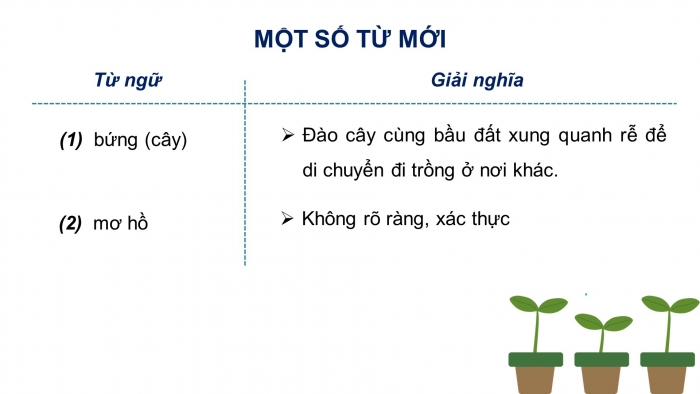 Giáo án điện tử Tiếng Việt 4 kết nối Bài 10 Đọc: Tiếng nói của cỏ cây