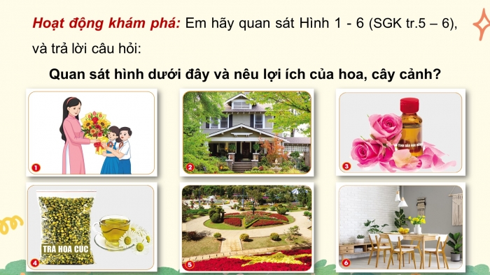 Giáo án điện tử Công nghệ 4 cánh diều Bài 1: Lợi ích của hoa và cây cảnh