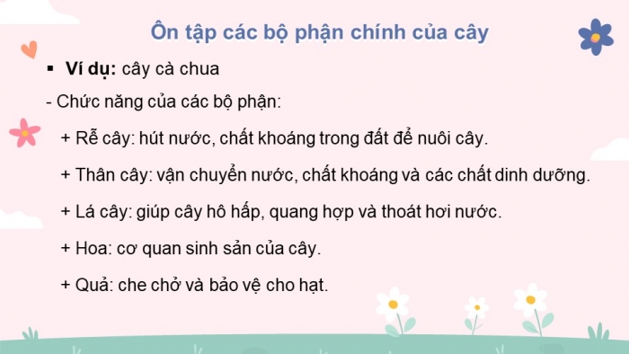 Giáo án điện tử bài 19: Ôn tập chủ đề thực vật và động vật