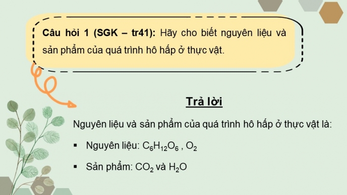 Giáo án điện tử Sinh học 11 chân trời Bài 6: Hô hấp ở thực vật