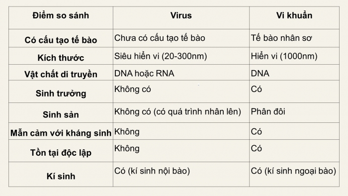 Giáo án điện tử sinh học 10 chân trời bài 29: Virus