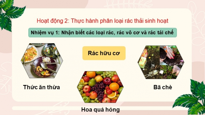 Giáo án điện tử chủ đề 8 tuần 31: Cuộc sống xanh