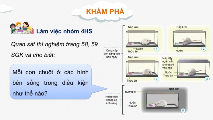 Giáo án điện tử Khoa học 4 cánh diều Bài 14: Nhu cầu sống của động vật và chăm sóc vật nuôi (P1)