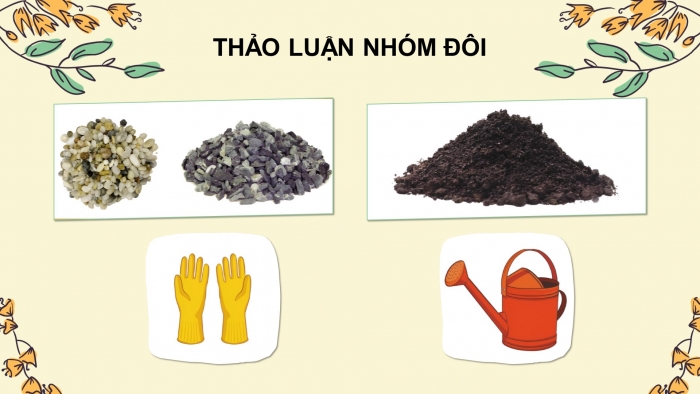 Giáo án điện tử Công nghệ 4 cánh diều Bài 5: Gieo hạt và trồng cây con trong chậu