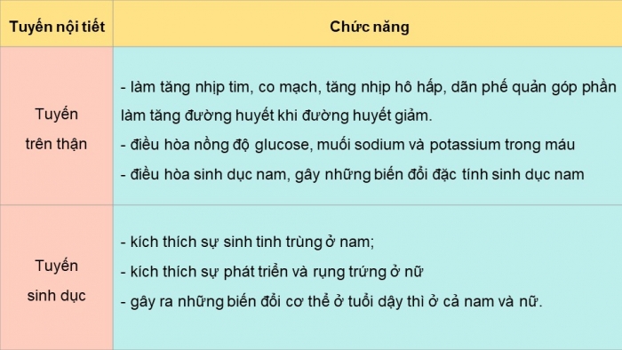 Giáo án điện tử KHTN 8 kết nối Bài 38: Hệ nội tiết ở người