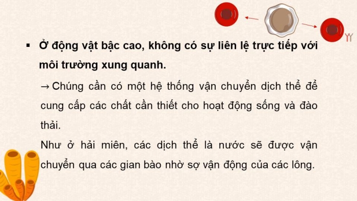 Giáo án điện tử Sinh học 11 chân trời Bài 10: Tuần hoàn ở động vật (P1)