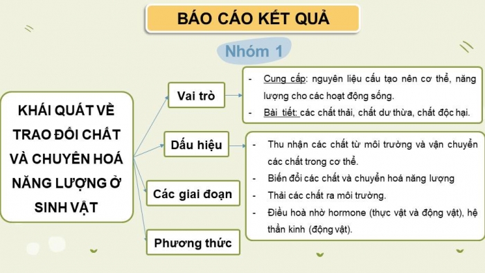 Giáo án điện tử Sinh học 11 chân trời Ôn tập chương 1