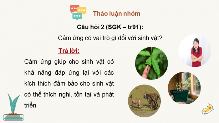 Giáo án điện tử Sinh học 11 chân trời Bài 14: Khái quát về cảm ứng ở sinh vật