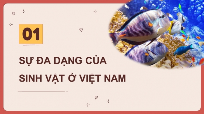 Giáo án điện tử Địa lí 8 kết nối Bài 10: Sinh vật Việt Nam
