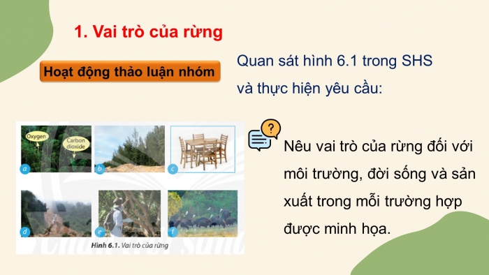 Giáo án điện tử bài 6: Rừng ở Việt Nam