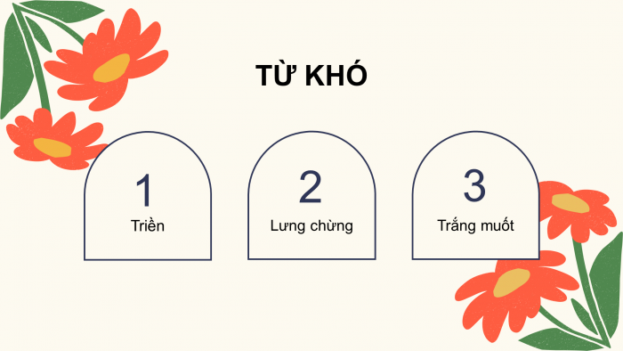 Giáo án điện tử Tiếng Việt 4 chân trời CĐ 3 Bài 8 Đọc: Những mùa hoa trên cao nguyên đá