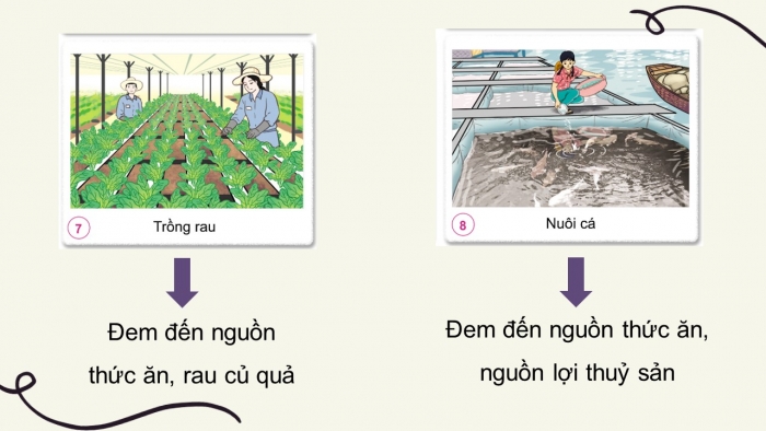 Giáo án điện tử tự nhiên và xã hội 3 cánh diều bài 9: Hoạt động sản xuất nông nghiệp