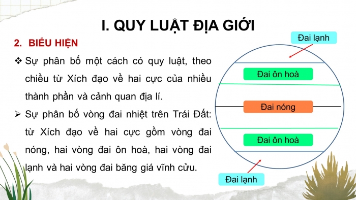 Giáo án điện tử địa lí 10 chân trời bài 18: Quy luật địa đới và quy luật phi địa đới