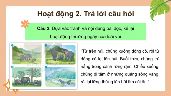 Giáo án điện tử tiếng việt 3 kết nối bài 8: Bầy voi rừng trường sơn. Tiết 1 – 2: Đọc