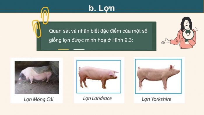 Giáo án điện tử công nghệ 7 chân trời bài 9: Một số phương thức chăn nuôi ở Việt Nam